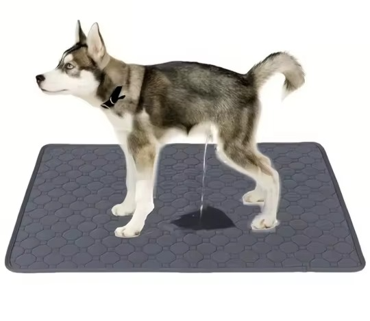 Product placeholder