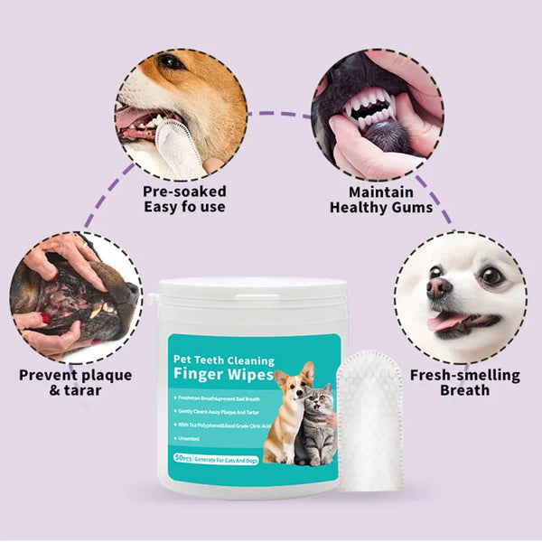Pet-Disposable-Cleaning-Wipes-Dog-Teeth-Cleaning-Finger-Wipes-Cat-Ear-and-Eye-Beauty-Wipes-Cat.jpg