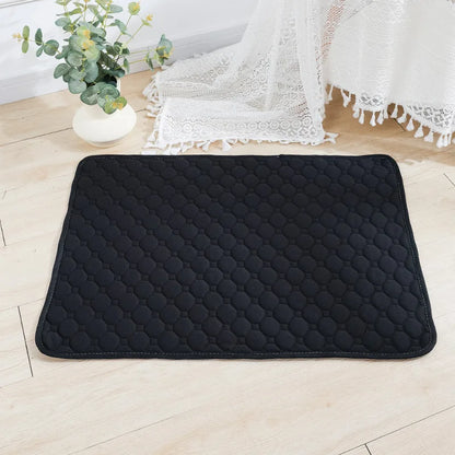 Reusable Pee Pad Blanket