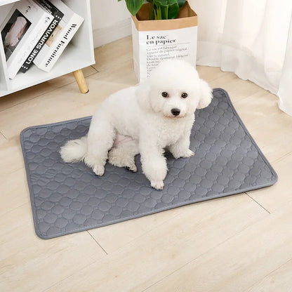 Reusable Pee Pad Blanket