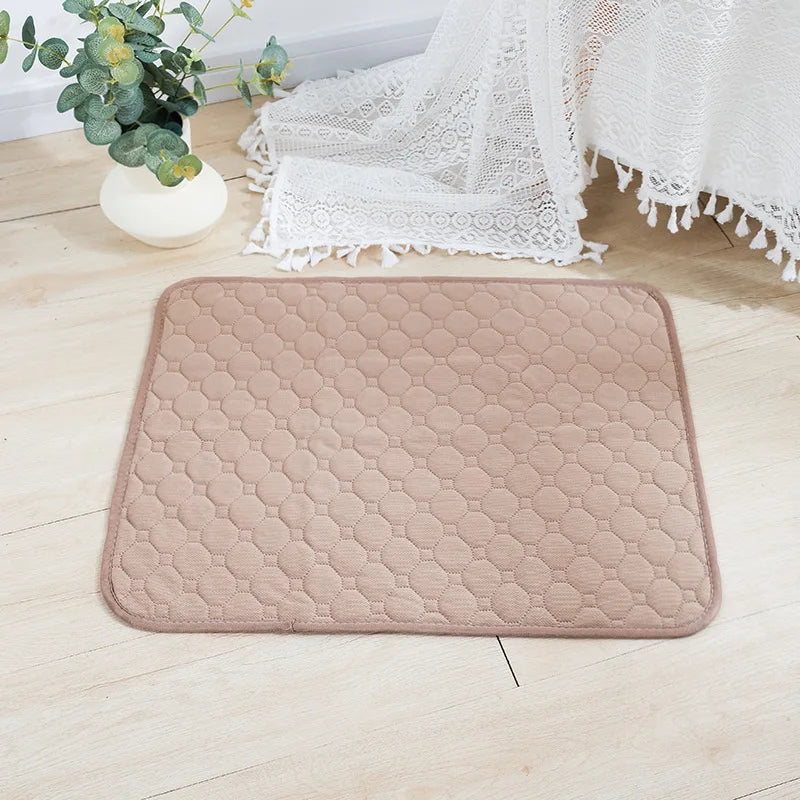 Reusable Pee Pad Blanket