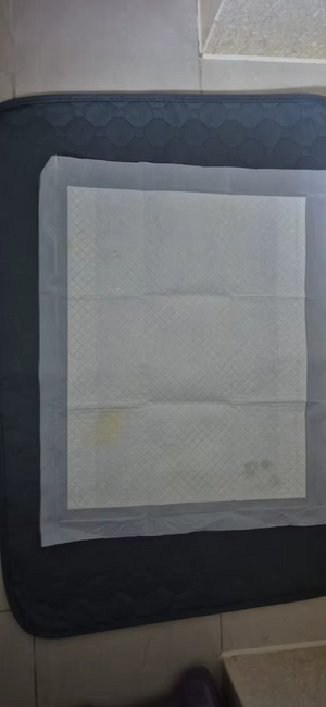Sc9a2400d5fbb4b3bae780d8c14a846f5L.png